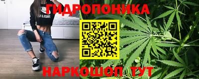 прущие крисы Ярцево